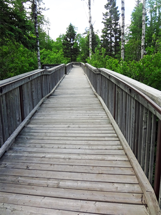 boardwalk at Ouimet Canyon